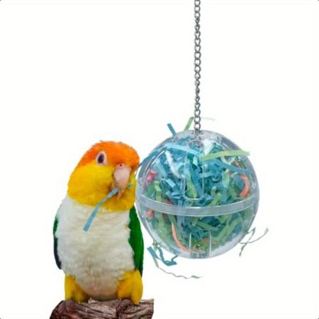 3.5" Interactive Forager Ball Toy - Unscrewable Parrot feeder with Shredding Paper, Heavy-Duty Polycarbonate Construction & Stainless Steel Hanging Chain, Treat Dispenser for African Greys, Amazon, Macaws, Cockatiels - Mental Stimulation Bird Toy, Parrot